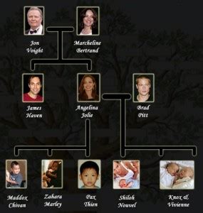 Angelina Jolie Family Tree Father, Mother and Children Name Pictures