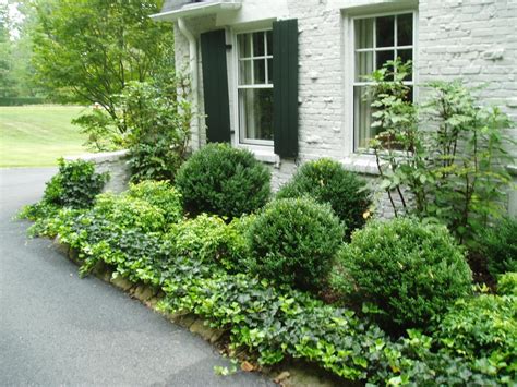 Landscaping Boxwood Shrubs — Randolph Indoor and Outdoor Design