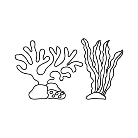 Hand drawn Kids drawing Cartoon ocean plants. Anemones, corals and ...