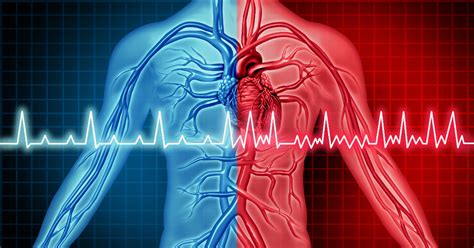 Atrial Fibrillation: Symptoms, Types, Causes, Diagnosis, Treatment ...