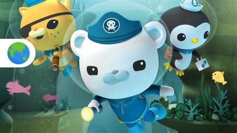 Octonauts (Mandarin) : ABC iview