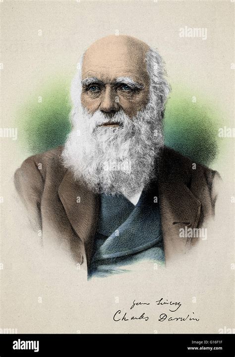 Lithograph of Charles Darwin (1809-1882) with this signature. Darwin ...