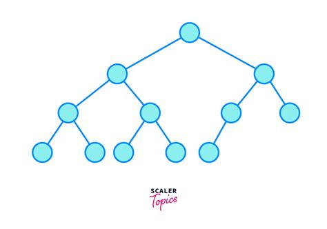 Complete Binary Tree - Scaler Blog