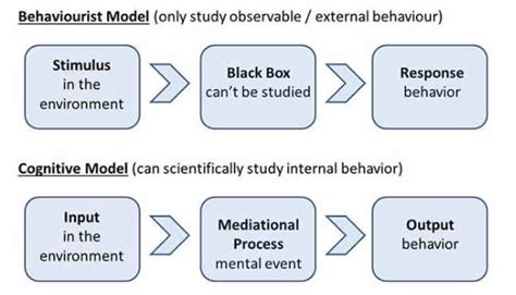 Cognitive Approach – A Journey Through Psychology