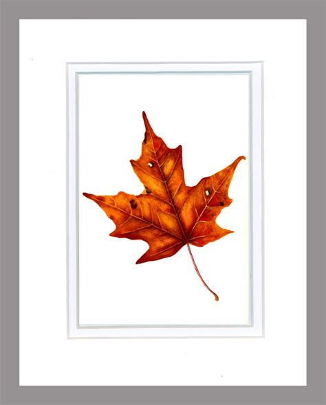 Red Autumn Leaf Watercolor Painting - Etsy