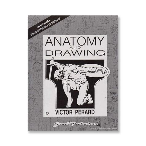 Share 137+ anatomy and drawing best - seven.edu.vn