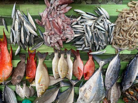 Various types of fresh fish in the traditional market Stock Photo ...