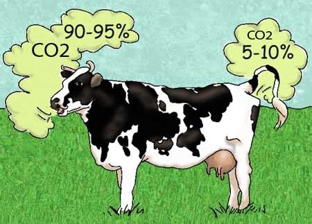 "Fugitive" Methane on the Rise. Why? Cow Farts & Burbs | | Marcellus ...