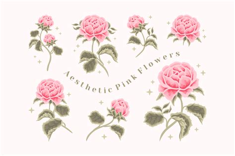 Aesthetic Pastel Pink Rose Flower Set Graphic by artflorara · Creative ...