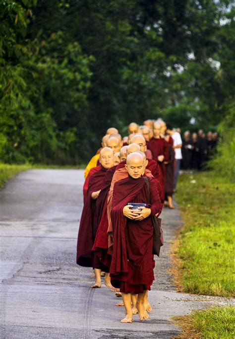 Sangha in line,pindacara,pindapata,theravada monks,alms round - free ...