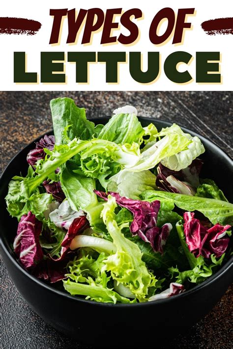 20 Different Types of Lettuce Varieties - Insanely Good