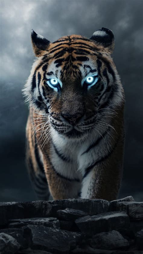 Tiger Glowing Eyes 4K Wallpaper, 44% OFF | gbu-taganskij.ru