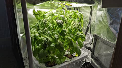 Building a Variety Grow Tent for Hydroponics - Ponics Life