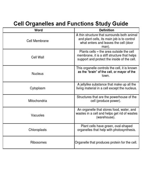 Plant Cell Functions Definitions