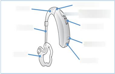 Parts of a Hearing Aid Diagram | Quizlet