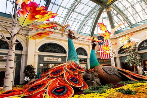 10 Must-See Las Vegas Attractions