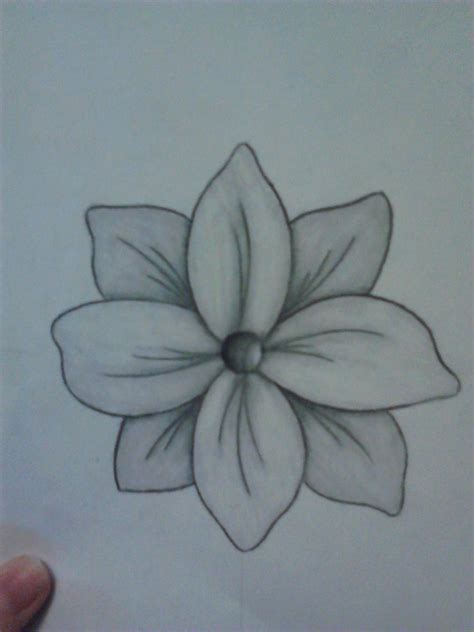 Simple Easy Flower Drawings In Pencil