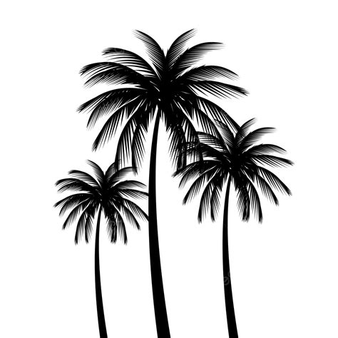 Small Palm Tree Silhouette PNG Transparent, Detailed Palm Tree Vector ...