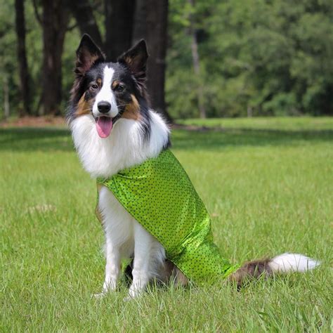 Dog Cooler / Cooling Coats | K9 Trading Company