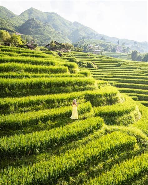 A Guide to Trekking in Sapa, Vietnam – Wandering Wheatleys