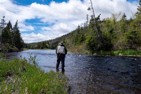 The 16 Best Trout Fishing Lakes in Minnesota