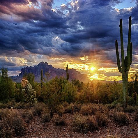 A Sonoran Desert Sunrise - Square Photograph by Saija Lehtonen - Pixels