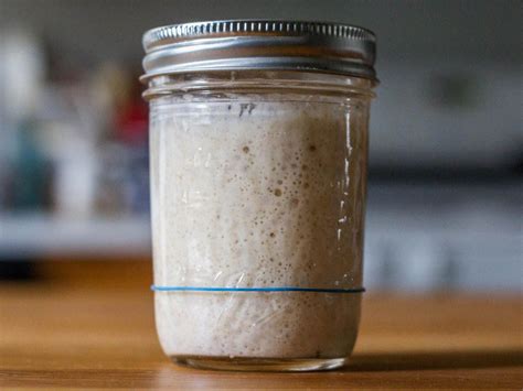 How to Make a Yeast Starter for Better Homebrewed Beer