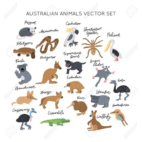 Australian Animals List For Kids