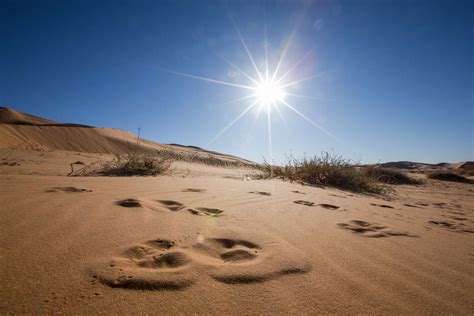 Desert Climate