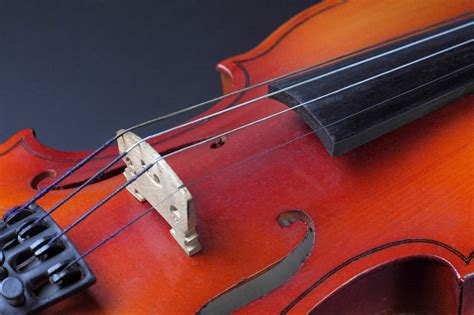 5 Best Violin Strings in 2022 - Sound Halo