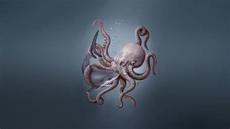 Octopus Wallpaper