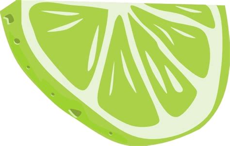 Lime (half Slice) clip art Free vector in Open office drawing svg ...