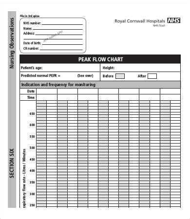 Paediatric Peak Flow Diary Booklet Print Out | Example Calendar Printable