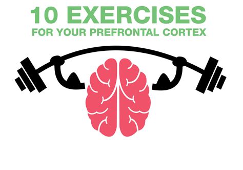 10 Exercises for Your Prefrontal Cortex | Heart-Mind Online