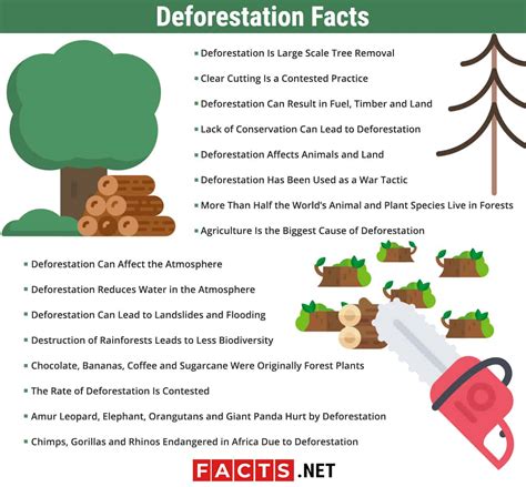 What Are Some Causes Of Deforestation - Visit Link