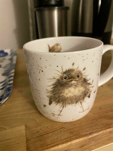 Unusual And Funny Mugs (39 pics)