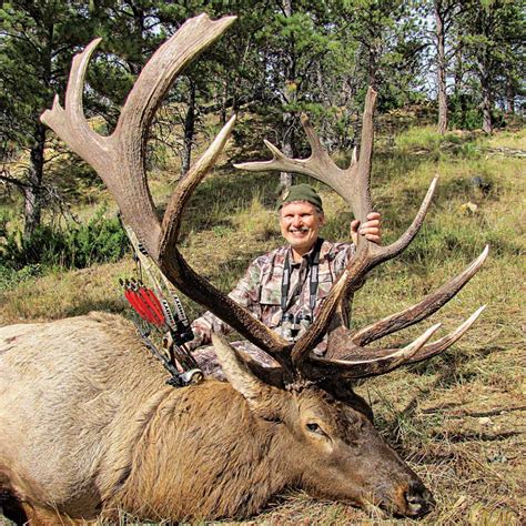 World Record Bulls: The Top 5 Typical Archery Elk