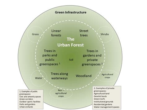 What is the urban forest? - Forest Research