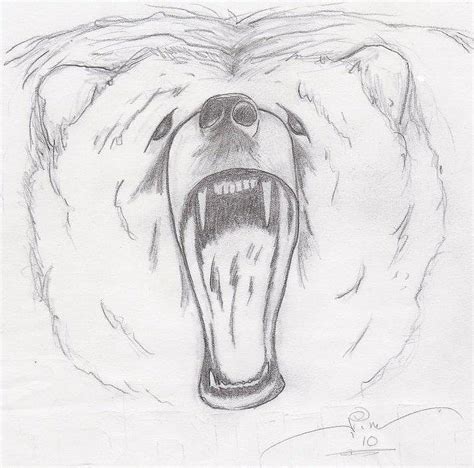 Angry Bear Drawing