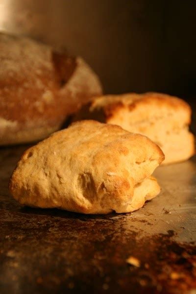 Recipes and ruminations: Sour milk biscuits