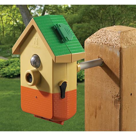 Nova Bird® Backyard Bird Digital Camera - 145921, Bird Houses & Feeders ...