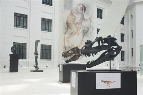 NMNH: The Shell Philippines Centennial Upper Courtyard – National Museum