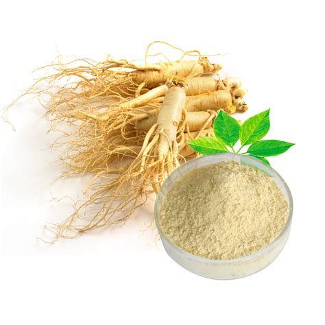 China Ginseng Root extract factory and manufacturers | Ruiwo