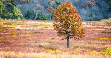 Hike Big Meadows , Virginia