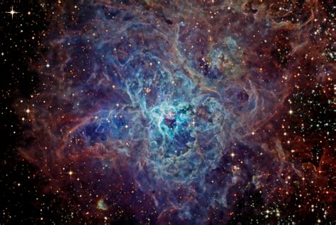 APOD: 2008 November 11 - The Cosmic Web of the Tarantula Nebula