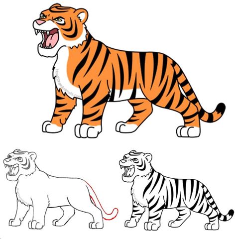 How To Draw A Cartoon Tiger Step By Step at Drawing Tutorials