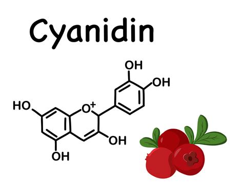 Cranberries, wild berry. Cyanidin is a natural organic compound, a ...