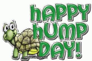 Happy Hump Day Wednesday GIF - Happy Hump Day Wednesday Hump Day ...