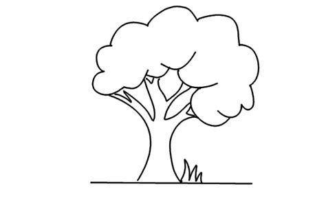 How to Draw a Simple Tree? | Step by Step Simple Tree Drawing for Kids