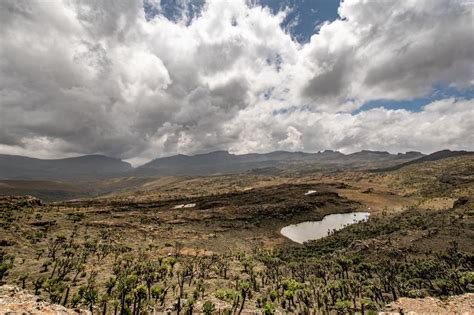 Mount Elgon Trekking Expedition - Lets summit Wagagai Peak